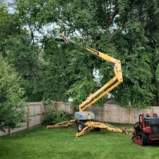 Best Lawn Grading and Leveling  in Central Point, OR