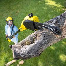 Best Lawn Irrigation Installation and Maintenance  in Central Point, OR