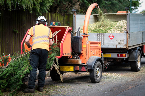 Best Pest Control for Lawns  in Central Point, OR