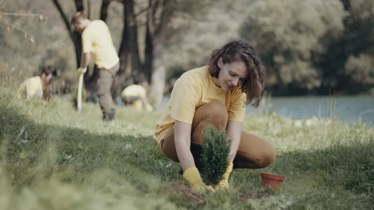 Mulching Services in Central Point, OR